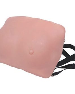 Breast Examination Model AM-14