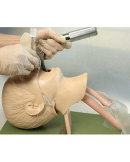 Child Trachea Intubation Model AM-1A