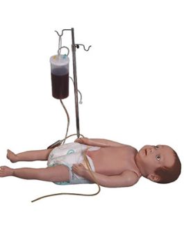 Infant Full Body Venipuncture Model AM-20