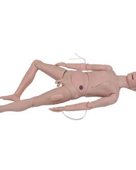 Basic Nursing Manikin AM-2000
