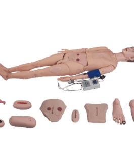 Full-functional Nursing Manikin (Blood Pressure Simulator) AM-2300