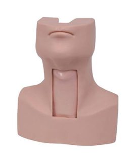 Advance Thyrocricocentesis Tracheostomy simulator AM-58