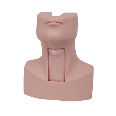 Advance Thyrocricocentesis Tracheostomy simulator AM-58