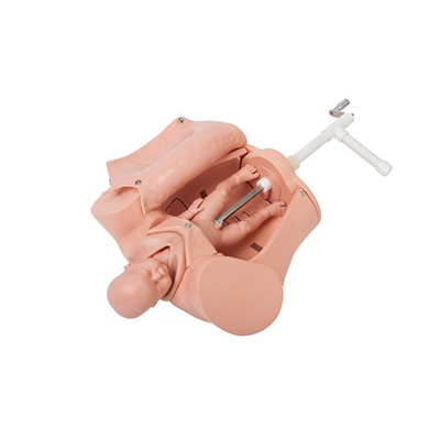 Advance Childbirth Skill Training Model AM-5B