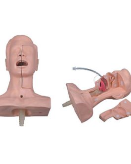 Suction Training Model AM-60