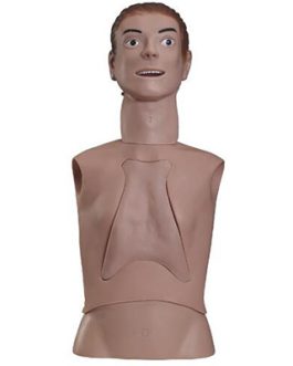 Nasogastric Feeding and Trachea Intubation Care Training Simulator AM-80