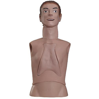 Nasogastric Feeding and Trachea Intubation Care Training Simulator AM-80