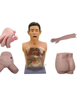 Basic Nursing Manikin AM-A