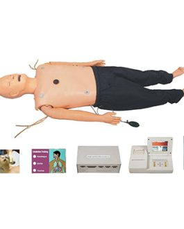 ALS Training Manikin AM-ALS800A