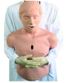Adult Obstruction Model AM-CPR155
