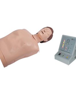 Half Body CPR Training Manikin AM-CPR200S