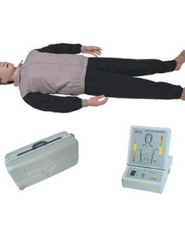 CPR Training Manikin AM-CPR230S