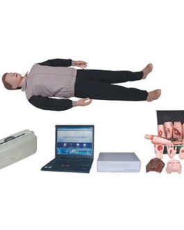 Trauma Training Manikin AM-CPR650 CPR
