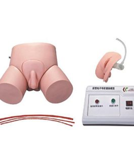Nursing Dummy AM