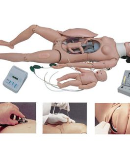 Delivery and Maternal and Neonatal Emergency Simulator AM-F55