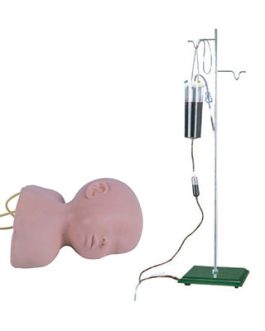 Infant Scalp Venipuncture Training Model AM-G1