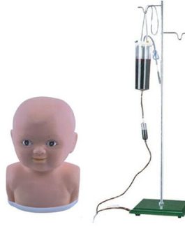 Child Scalp Venipuncture Training Model AM-G2