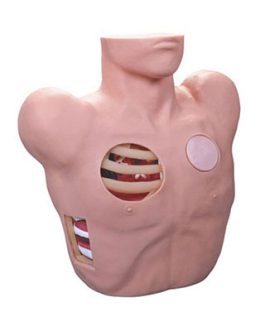 Thoracentesis Drainage Model AM-L66