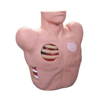 Thoracentesis Drainage Model AM-L66
