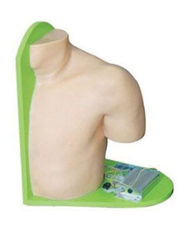 Shoulder Joint Cavity Injection Model AM-L70