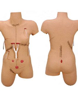 Surgical Suture and Bandage Model AM-LV18