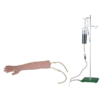 Arm Venipuncture Training Model AM-S