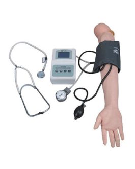Blood Pressure Training Arm Model AM-S7