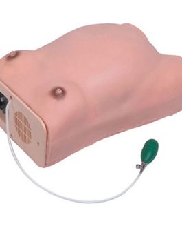 Maternity Examination Model AM-1111