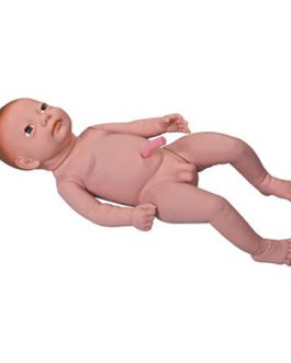 Infant with Umbilical Cord AM-Y3